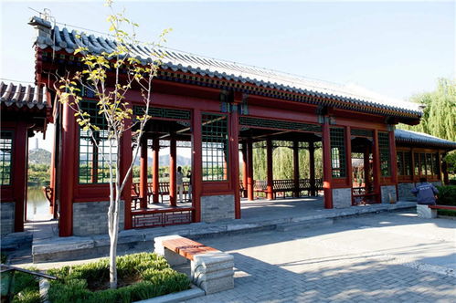 匠心雕琢，藝承古今——嘉興仿古門窗與東陽藝隆古建工程的傳承與創新